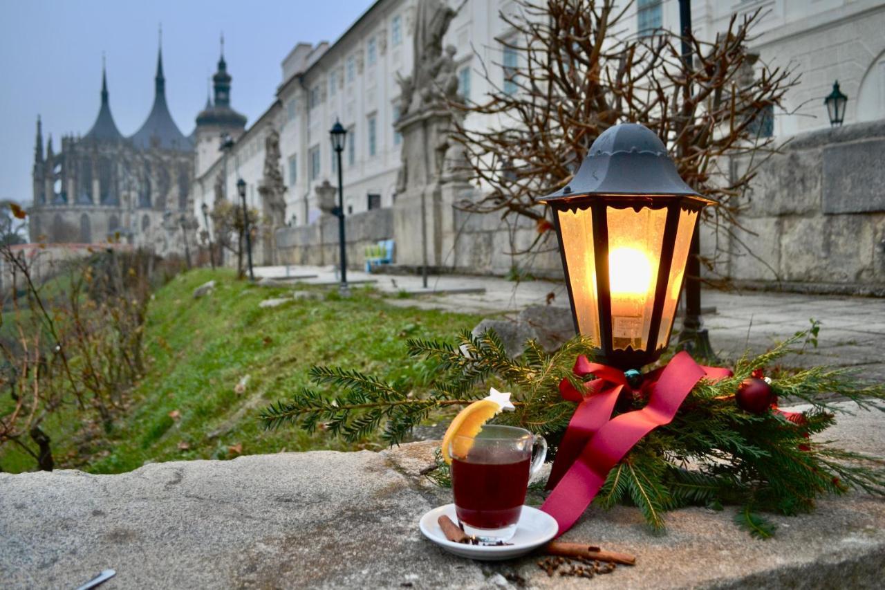 Vila U Varhanare Kutna Hora Exterior photo
